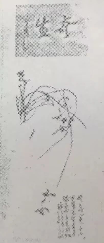 7a5b9b675fbca3dcbfffa6f8098b6f36.jpg